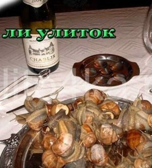 Едят ли улиток