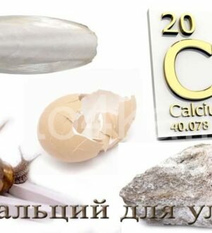 Кальций для улиток