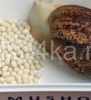 Улитка ахатина отложила яйца в аквариуме, что нужно делать