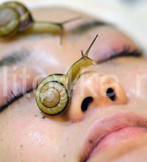 Косметические улитки